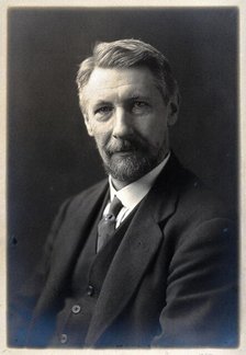Robert Wallace Henry. Creator: Unknown.