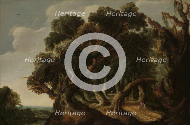 Wooded Landscape, c.1633. Creator: Jacob Jacobsz. Van Geel.