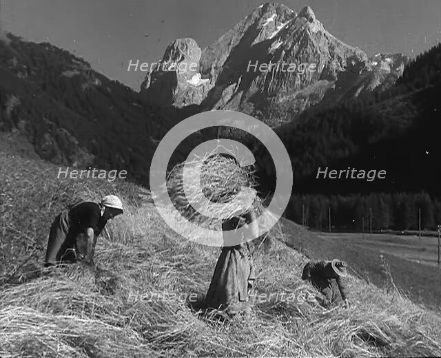 Women Gathering Hay, 1943-1944. Creator: British Pathe Ltd.