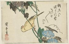 Canary and morning glories, n.d. Creator: Ando Hiroshige.