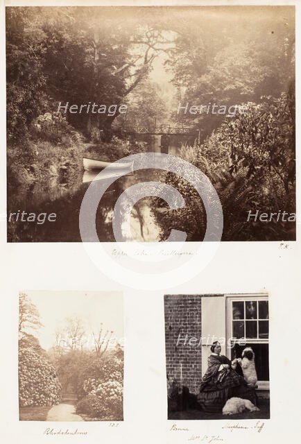 Upper Lake, Penllergare; Rhododendrons; Brome, Morphine Tuff, 1853-56. Creator: James Knight.