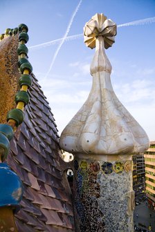 The curved rooftop of Batllo House, Barcelona, Spain, 2007. Artist: Samuel Magal