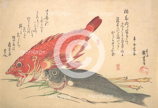 Isaki and Kasago Fish, from the series Uozukushi (Every Variety of Fish), 1830s., 1830s. Creator: Ando Hiroshige.