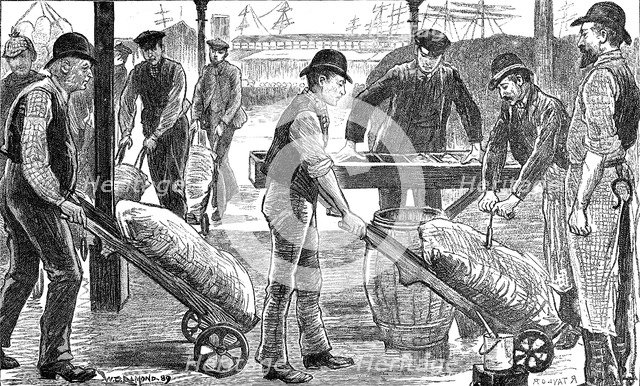 Dockers unloading sugar at West India Docks, London, 1889. Artist: Unknown