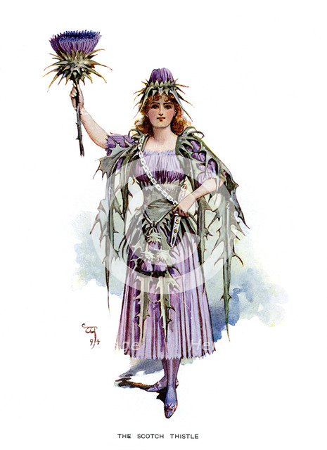 'The Scotch Thistle', 1899. Artist: Unknown