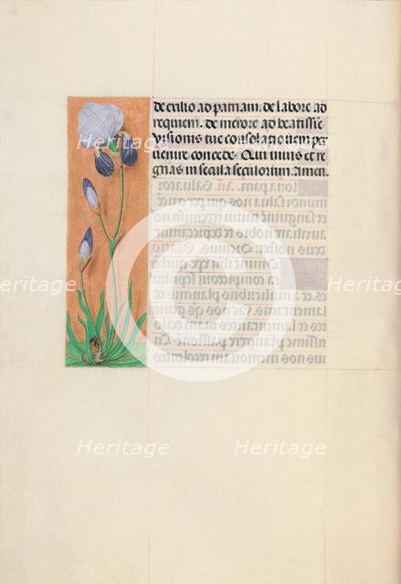 Hours of Queen Isabella the Catholic, Queen of Spain: Fol. 79v, c. 1500. Creator: Master of the First Prayerbook of Maximillian (Flemish, c. 1444-1519); Associates, and.