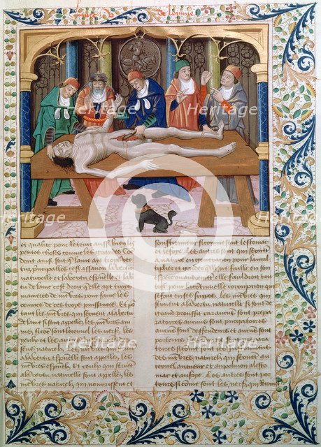 Dissection, late 15th century. Artist: Unknown