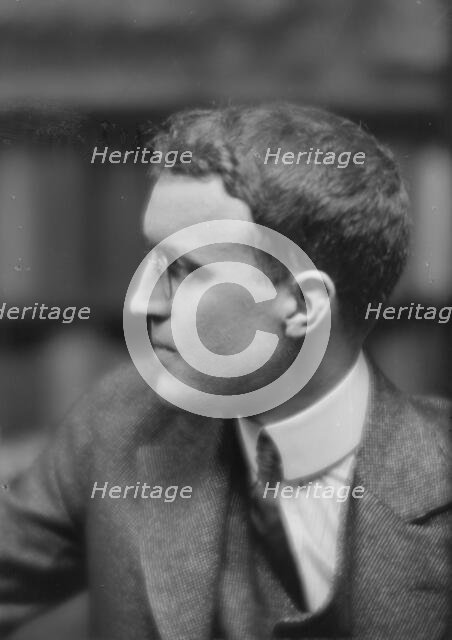 O'Sheell, S., Mr., portrait photograph, 1915. Creator: Arnold Genthe.