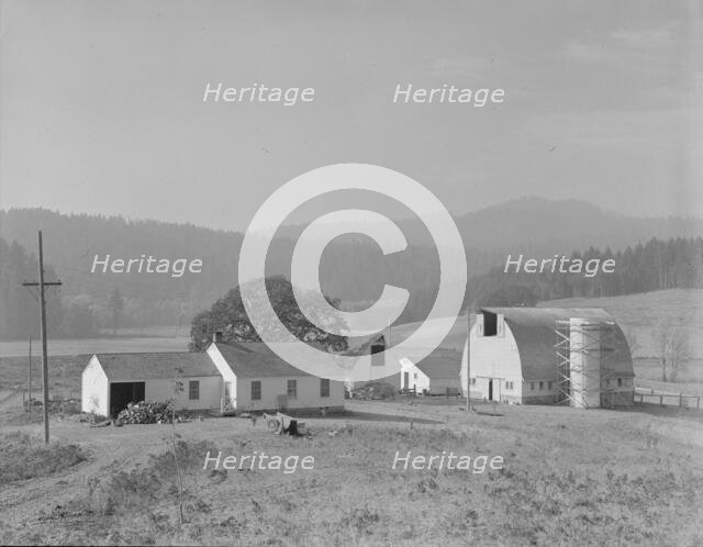 Unit no. 32 of Yamhill farms, Oregon, 1939. Creator: Dorothea Lange.