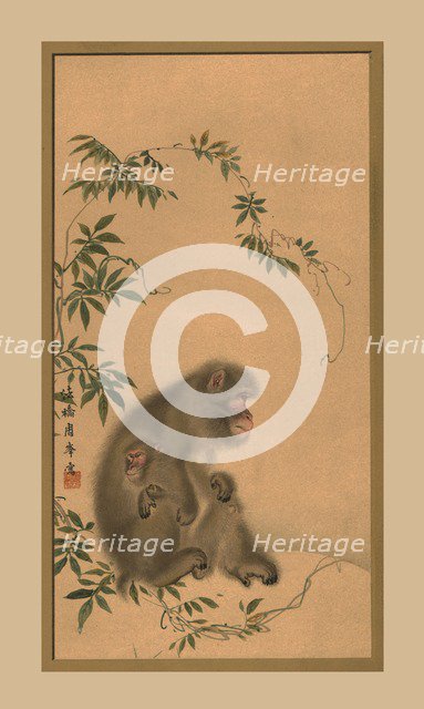 Monkey, 19th century, (1886). Artist: Unknown.