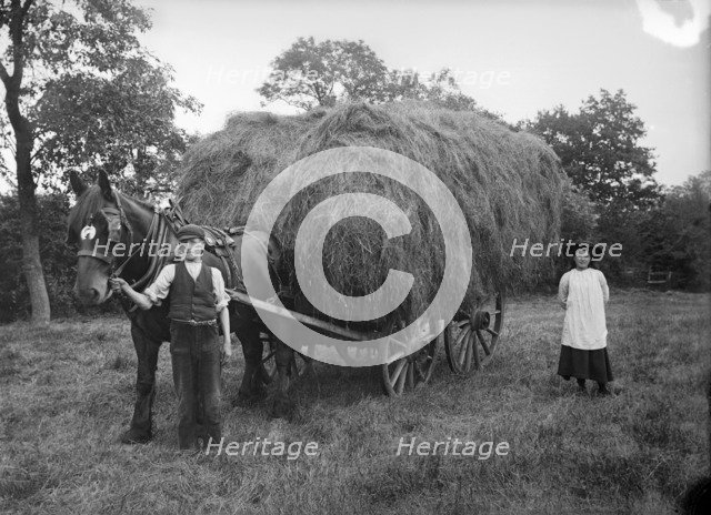 A hay waggon near Hellidon, Northamptonshire, c1896-c1920. Artist: A Newton