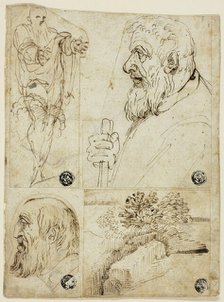 Four Sketches: Standing Male Figure; Profile Bust of Bearded Man; Profile Head of Bearded..., n.d. Creator: Agostino Carracci.