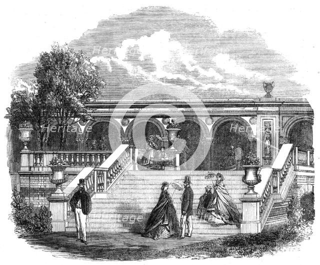 Royal Horticultural Society's Gardens, South Kensington: steps from one of the central..., 1861. Creator: Unknown.