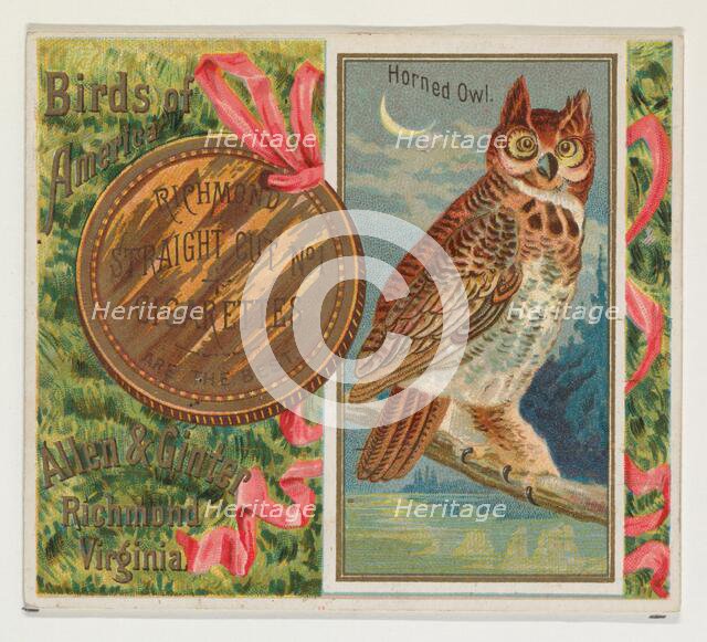 Horned Owl, from the Birds of America series (N37) for Allen & Ginter Cigarettes, 1888. Creator: Allen & Ginter.