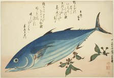 Bonito and saxifrage, from an untitled series of fish, c. 1832/33. Creator: Ando Hiroshige.