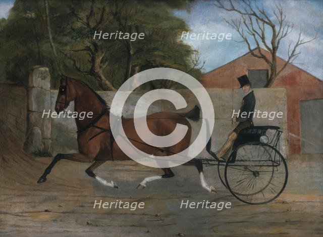 Portrait of a Gentleman in a Carriage, ca. 1850-60. Creator: Unknown.