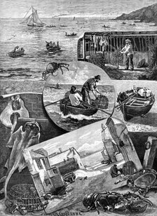 Our Fishing Industries: Crab-Catching in Cornwall, 1883. Creator: T. S. Hayley.