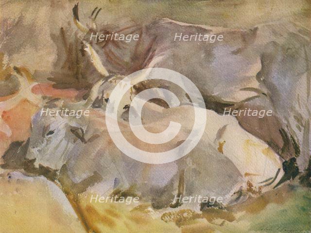 'Oxen at Siena', c1910, (1936). Creator: John Singer Sargent.