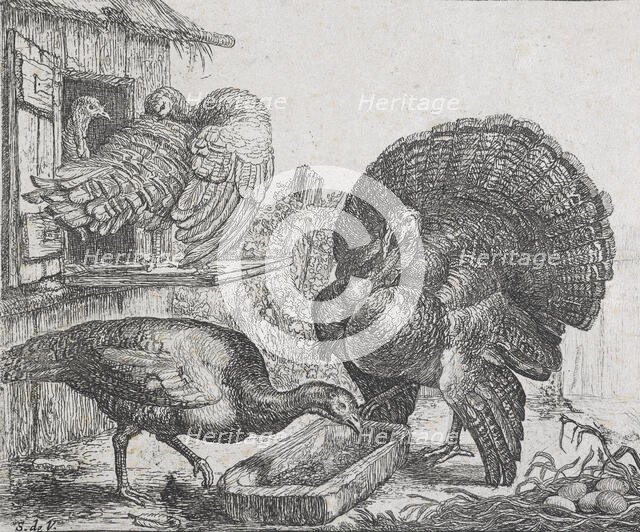 Four turkeys,  1615-1653. Creator: Simon de Vlieger.