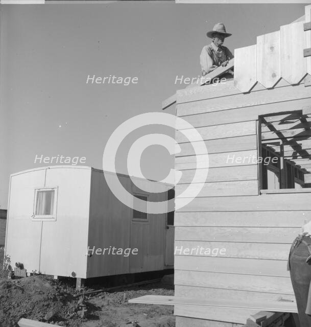 Father and son, recent migrants to California, building house, Salinas, California, 1939. Creator: Dorothea Lange.