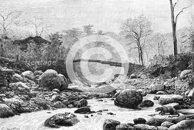 A bridge over the Rangit, a tributary of the river Teesta, India, 1895. Artist: Unknown