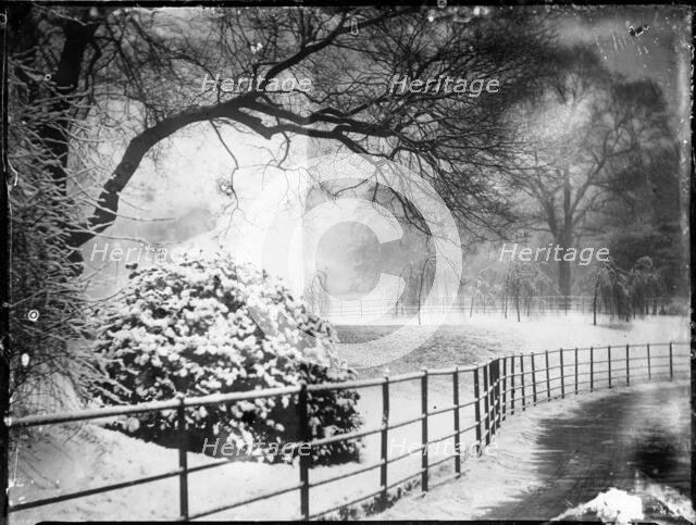 Kensington Gardens, Hyde Park, City of Westminster, London, 1905. Creator: Katherine Jean Macfee.