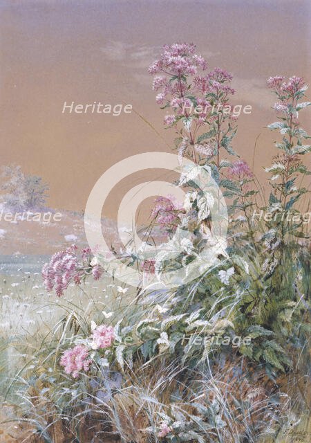 Untitled, 1876. Creator: Fidelia Bridges.