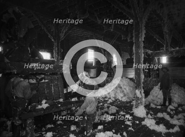 Cotton gin at Dahomey, between 1890 and 1906. Creator: Unknown.