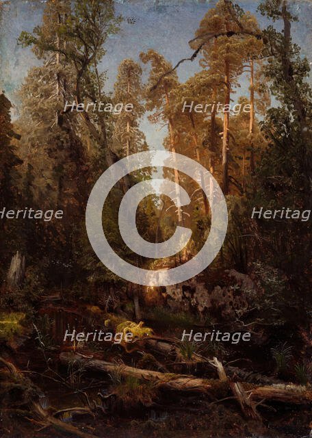 Forest Study, probably 1851. Creator: Herman August Cappelen.