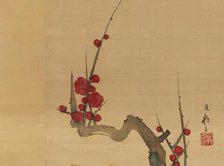 Plum blossom, c.1801. Creator: Sakai Hoitsu.