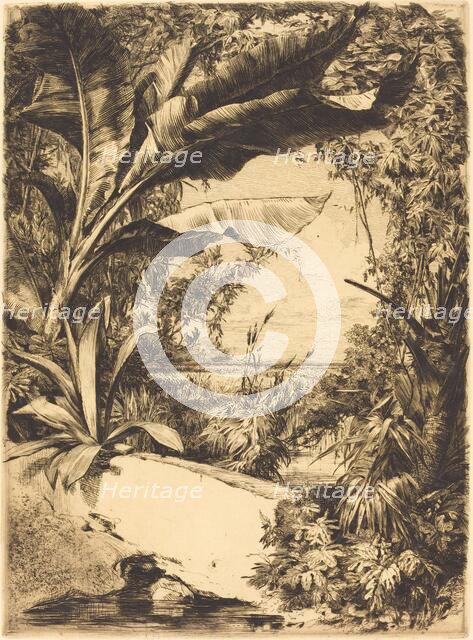 Plantes de Serre, 1863. Creator: Jules-Ferdinand Jacquemart.