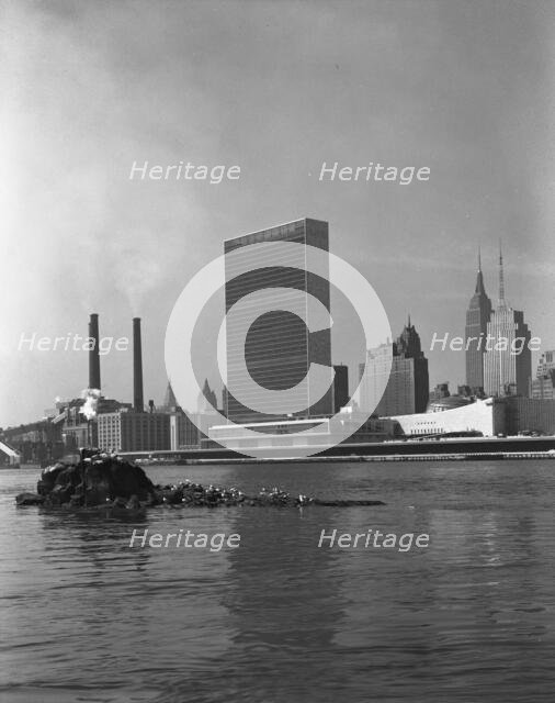 United Nations Building from Welfare Island III, 1952. Creator: Gottscho-Schleisner, Inc.
