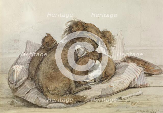 Spaniel With Puppies, 1840. Creator: Ernst Hasse.