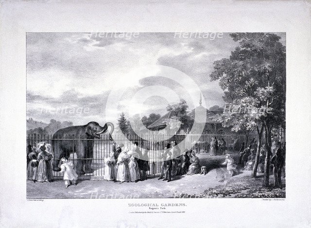 Zoological Gardens, Regent's Park, Marylebone, London, 1835. Artist: George Scharf