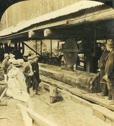 'The Timber Industry, Warburton, Victoria, Australia', 1909. Creator: George Rose.