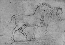 'Study of a Horse and of a Horse's Head', c1480 (1945). Artist: Leonardo da Vinci.