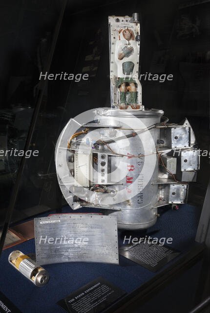 Biocapsule, Primate, 1959. Creator: Army Ballistic Missile Agency.