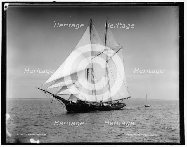 Ambassadress, between 1880 and 1899. Creator: Unknown.