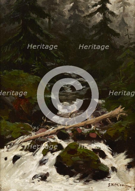 Stream in the Forest, 1893. Creator: Stanislaw Witkiewicz.