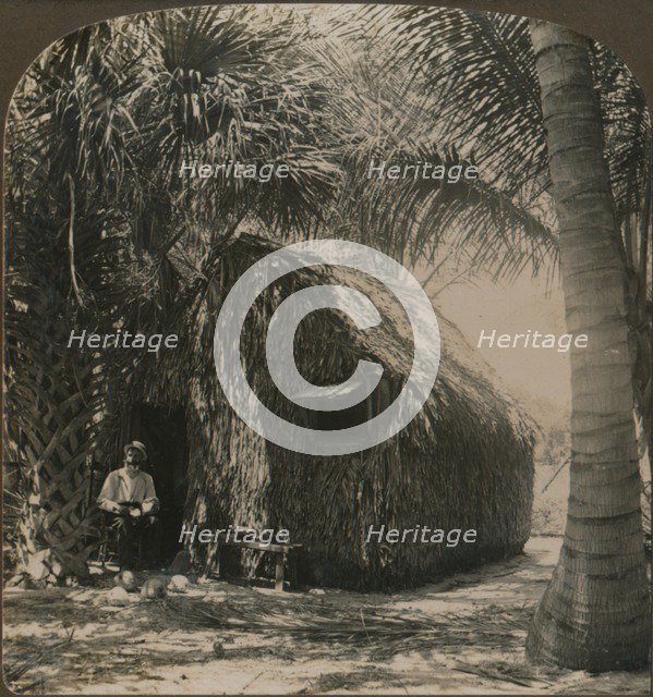 'Thatched Cottage in Cocoanut Grove, Florida, U.S.A.', c1900. Artist: Unknown.