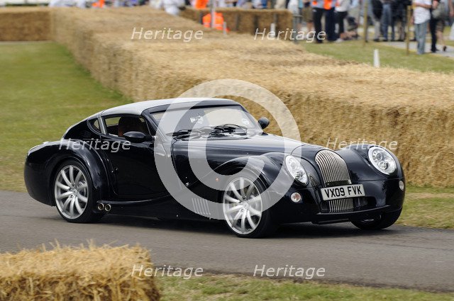 2009 Morgan Aero 8, Goodwood Festival of Speed Artist: Unknown.