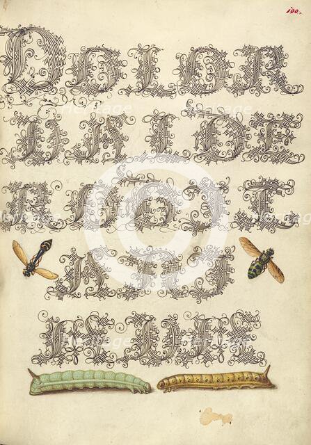 Potter Wasp, Hover Fly, and Caterpillars, 1561-1562; illumination added 1591-1596. Creator: Joris Hoefnagel.