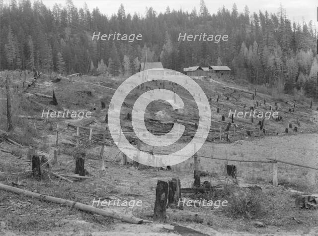 New settlers shack at foot of hills on poor sandy soil, Boundary County, Idaho, 1939. Creator: Dorothea Lange.