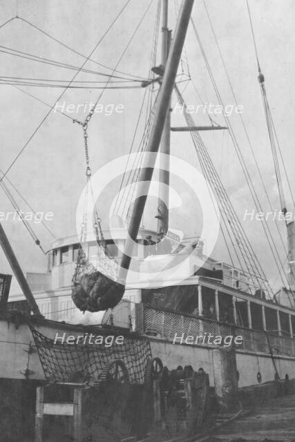 Loading copper on ship, between c1900 and 1916. Creator: Unknown.