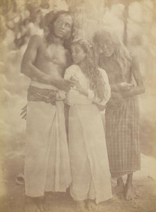 [Ceylonese Group by a Tree], 1878. Creator: Julia Margaret Cameron.