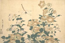 Dragonfly and Bellflower, late 1820s. Creator: Hokusai.