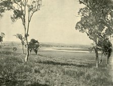'Black Swan Lagoon, near Warwick, Queensland', 1901. Creator: Unknown.