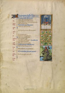 January Calendar Page; Feasting; Aquarius; Katherine Hours, about 1480-1485. Creator: Unknown.