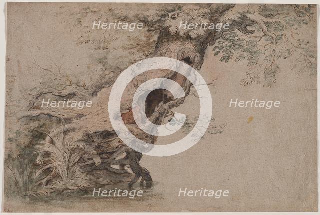 Hollow Tree, after Roelant Savery, after 1670. Creator: Lambert Doomer (Dutch, 1623-1700).