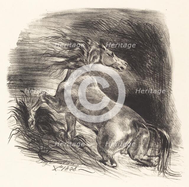 Wild Horse Coming out of the Water (Cheval sauvage), 1828. Creator: Eugene Delacroix.